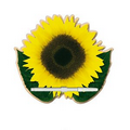 Sunflower Offset Printed Memo Board